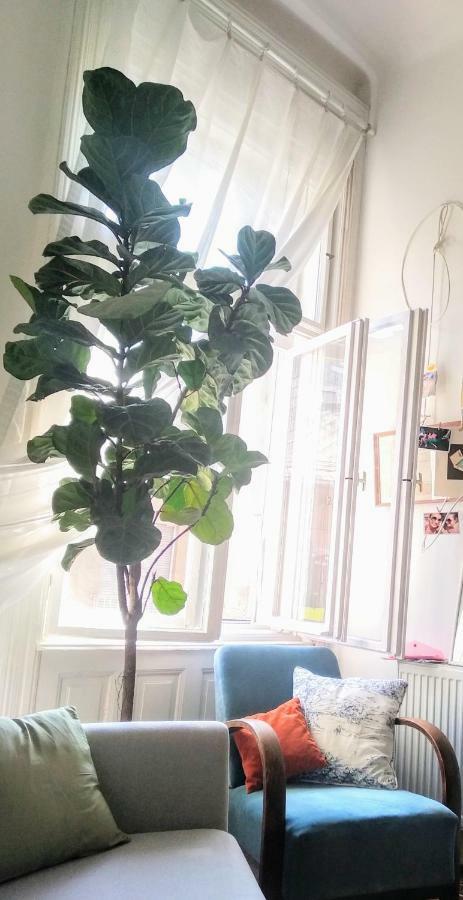 Jolie Apartment In Historical Center 부다페스트 외부 사진