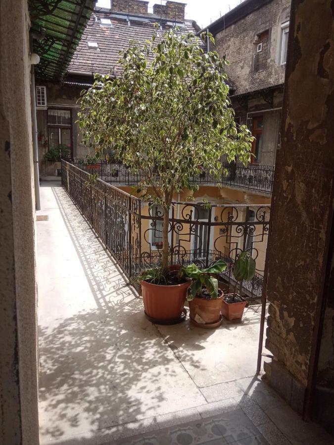 Jolie Apartment In Historical Center 부다페스트 외부 사진